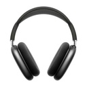 AirPods Max Space Gray with Case